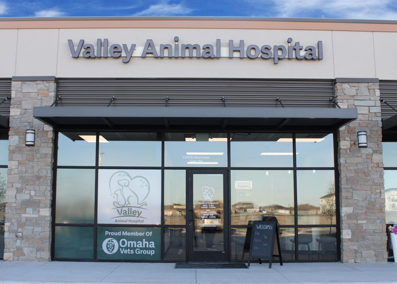 Valley Animal Hospital